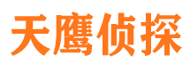 临港市侦探公司